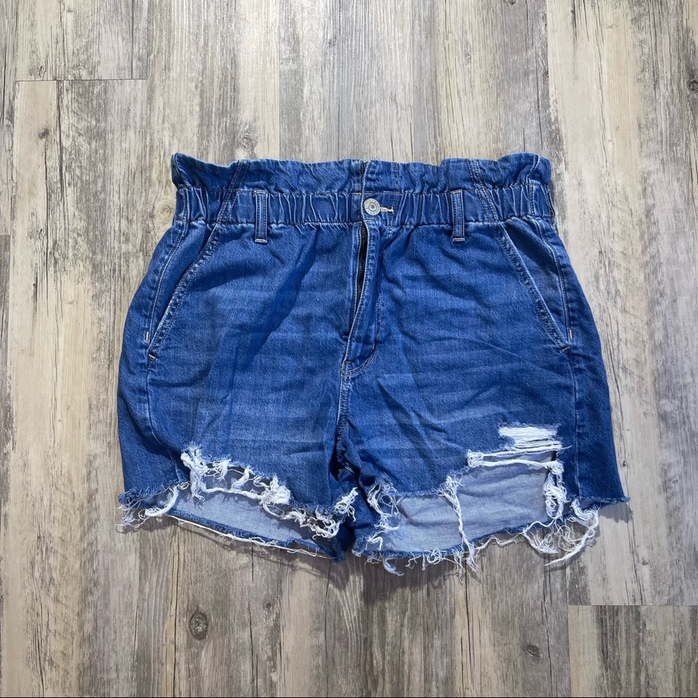 American Eagle Shorts (14)